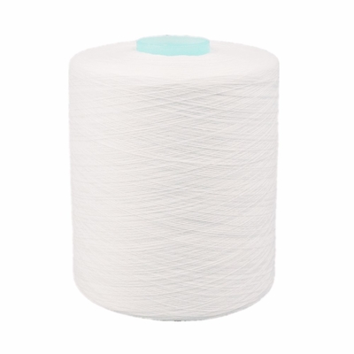 Yizheng Fiber Material 302 402 502 スプンポリエステル 糸 縫製糸 中国製